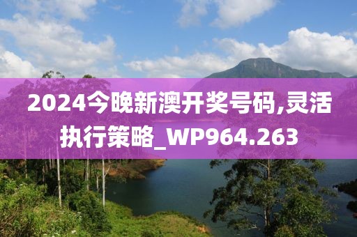 2024今晚新澳開獎號碼,靈活執(zhí)行策略_WP964.263