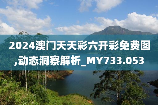 2024澳門天天彩六開彩免費圖,動態(tài)洞察解析_MY733.053