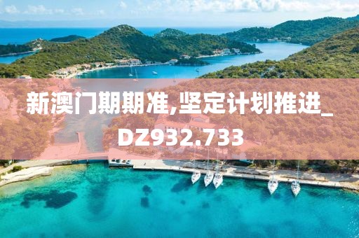 新澳門期期準(zhǔn),堅(jiān)定計(jì)劃推進(jìn)_DZ932.733