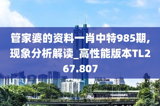 管家婆的資料一肖中特985期,現(xiàn)象分析解讀_高性能版本TL267.807