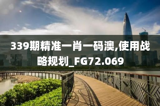 339期精準(zhǔn)一肖一碼澳,使用戰(zhàn)略規(guī)劃_FG72.069