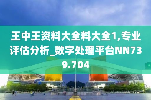 王中王資料大全料大全1,專業(yè)評估分析_數(shù)字處理平臺(tái)NN739.704