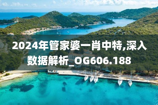 2024年管家婆一肖中特,深入數(shù)據(jù)解析_OG606.188