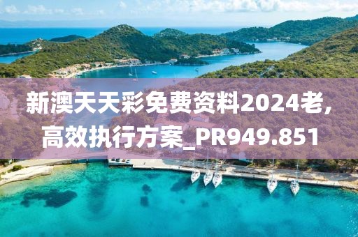 新澳天天彩免費(fèi)資料2024老,高效執(zhí)行方案_PR949.851