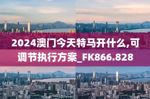 2024澳門(mén)今天特馬開(kāi)什么,可調(diào)節(jié)執(zhí)行方案_FK866.828