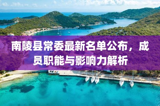 南陵縣常委最新名單公布，成員職能與影響力解析