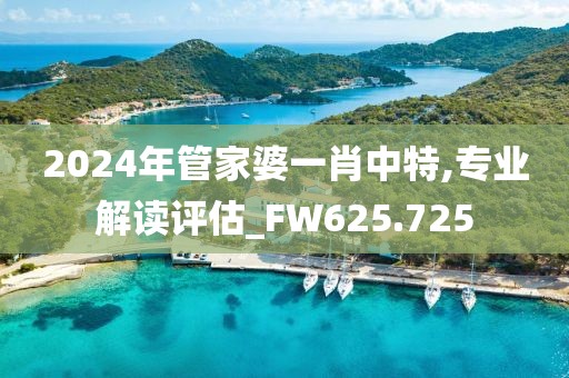 2024年管家婆一肖中特,專業(yè)解讀評(píng)估_FW625.725