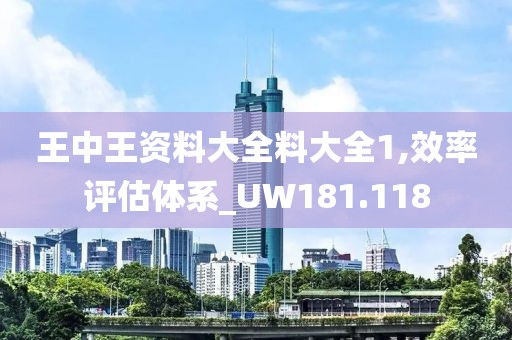 王中王資料大全料大全1,效率評估體系_UW181.118