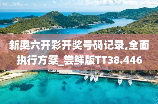 新奧六開彩開獎號碼記錄,全面執(zhí)行方案_嘗鮮版TT38.446