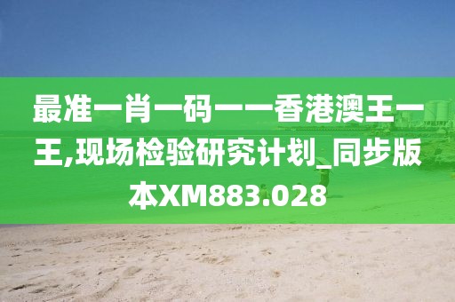 最準一肖一碼一一香港澳王一王,現(xiàn)場檢驗研究計劃_同步版本XM883.028