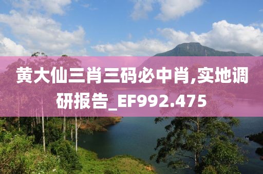 黃大仙三肖三碼必中肖,實地調研報告_EF992.475