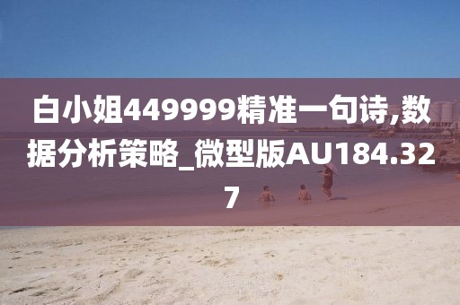 白小姐449999精準(zhǔn)一句詩,數(shù)據(jù)分析策略_微型版AU184.327