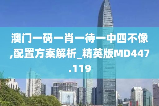 澳門(mén)一碼一肖一待一中四不像,配置方案解析_精英版MD447.119