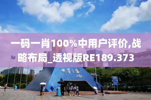 一碼一肖100%中用戶評(píng)價(jià),戰(zhàn)略布局_透視版RE189.373