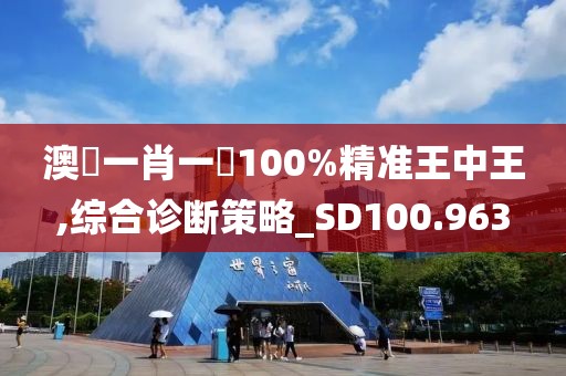 澳門一肖一碼100%精準王中王,綜合診斷策略_SD100.963