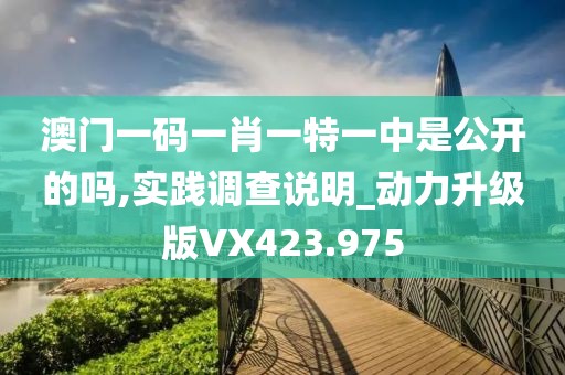 澳門一碼一肖一特一中是公開的嗎,實踐調查說明_動力升級版VX423.975