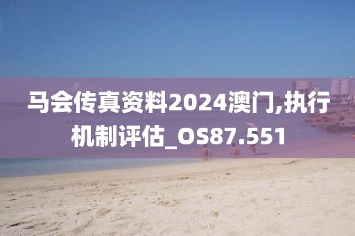 馬會(huì)傳真資料2024澳門,執(zhí)行機(jī)制評(píng)估_OS87.551