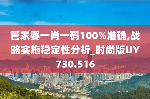 管家婆一肖一碼100%準(zhǔn)確,戰(zhàn)略實施穩(wěn)定性分析_時尚版UY730.516