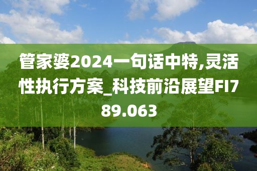 管家婆2024一句話中特,靈活性執(zhí)行方案_科技前沿展望FI789.063