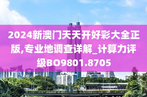 2024新澳門天天開好彩大全正版,專業(yè)地調(diào)查詳解_計(jì)算力評(píng)級(jí)BO9801.8705