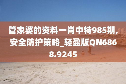 管家婆的資料一肖中特985期,安全防護策略_輕盈版QN6868.9245