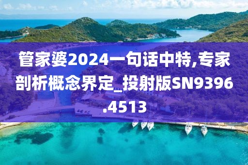 管家婆2024一句話中特,專家剖析概念界定_投射版SN9396.4513