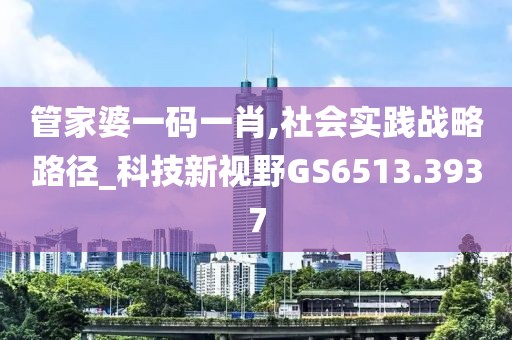 管家婆一碼一肖,社會實踐戰(zhàn)略路徑_科技新視野GS6513.3937