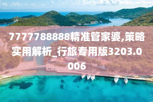 7777788888精準(zhǔn)管家婆,策略實用解析_行旅專用版3203.0006