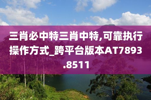 三肖必中特三肖中特,可靠執(zhí)行操作方式_跨平臺(tái)版本AT7893.8511