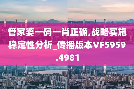 管家婆一碼一肖正確,戰(zhàn)略實施穩(wěn)定性分析_傳播版本VF5959.4981