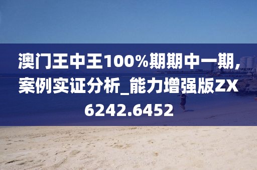 澳門王中王100%期期中一期,案例實證分析_能力增強版ZX6242.6452