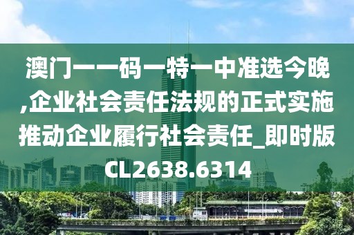 澳門(mén)一一碼一特一中準(zhǔn)選今晚,企業(yè)社會(huì)責(zé)任法規(guī)的正式實(shí)施推動(dòng)企業(yè)履行社會(huì)責(zé)任_即時(shí)版CL2638.6314