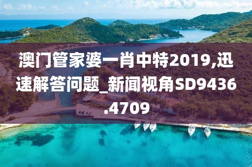 澳門管家婆一肖中特2019,迅速解答問題_新聞視角SD9436.4709