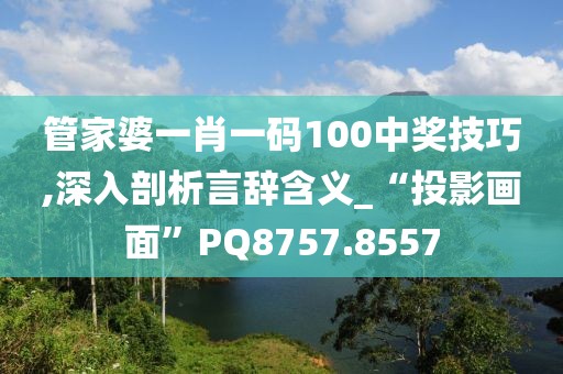 管家婆一肖一碼100中獎(jiǎng)技巧,深入剖析言辭含義_“投影畫面”PQ8757.8557