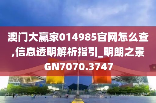 澳門大贏家014985官網(wǎng)怎么查,信息透明解析指引_明朗之景GN7070.3747