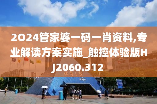 2O24管家婆一碼一肖資料,專業(yè)解讀方案實施_觸控體驗版HJ2060.312