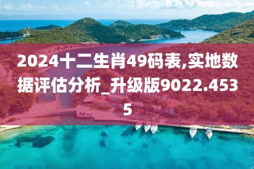 2024十二生肖49碼表,實地數(shù)據(jù)評估分析_升級版9022.4535