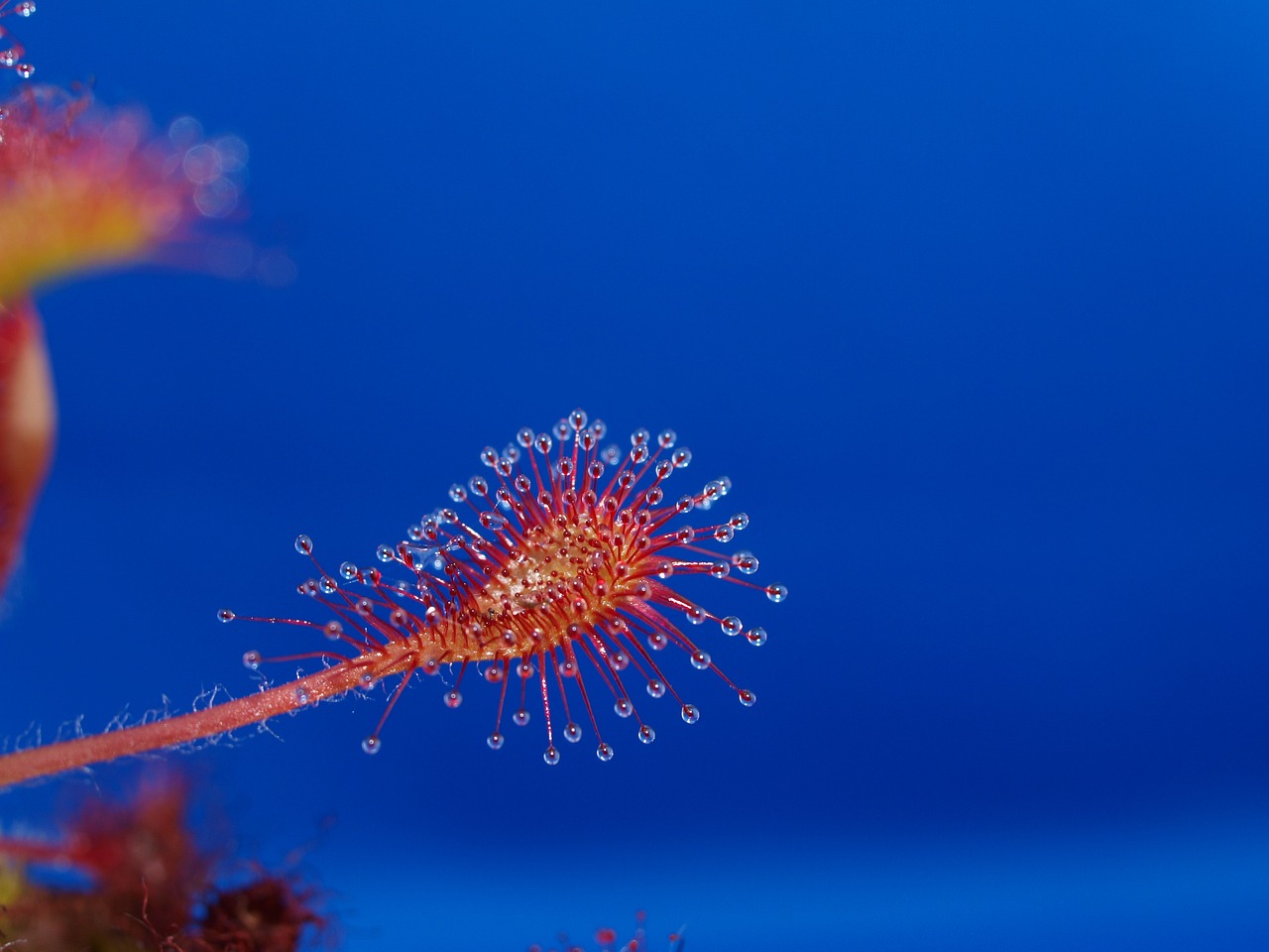 湖山水庫(kù)釣魚最新魚情深度解析報(bào)告