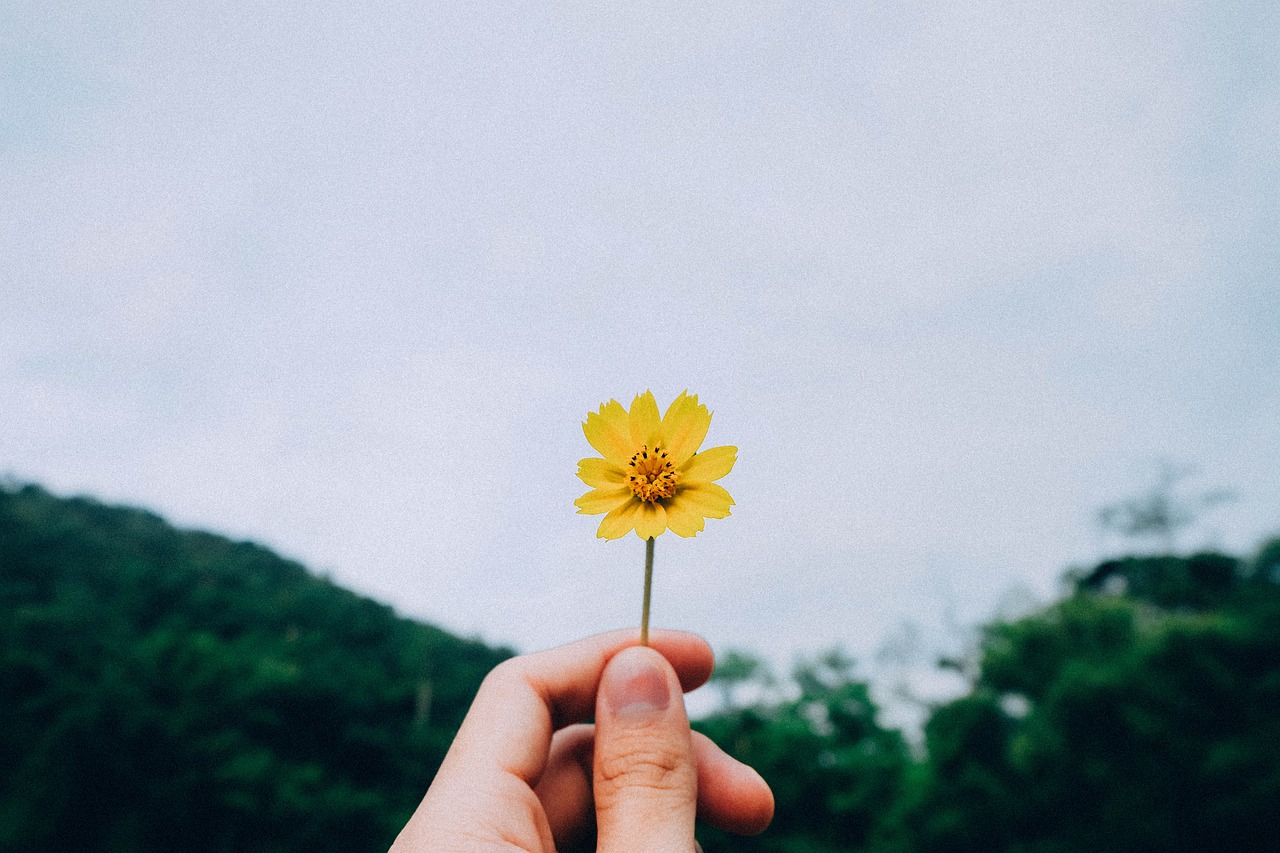 濰坊貼吧最新消息，城市動(dòng)態(tài)與生活點(diǎn)滴分享