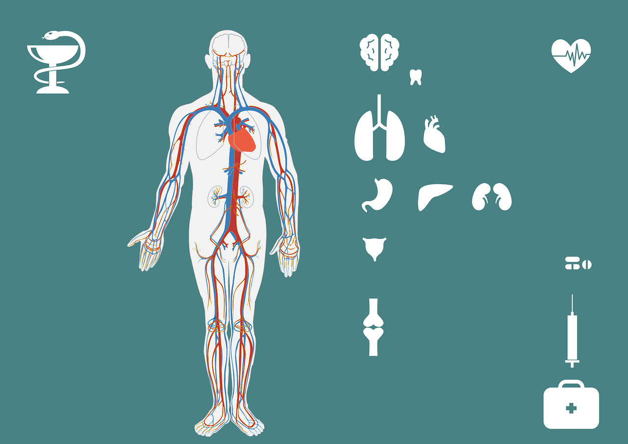 瀘州學(xué)校打人事件最新消息，深度分析與反思