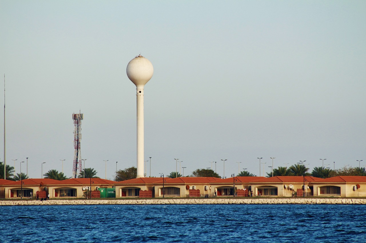 福建籍高官最新動態(tài)概覽