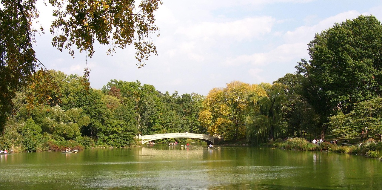 煌盛中央公園最新房價及其動態(tài)分析概述