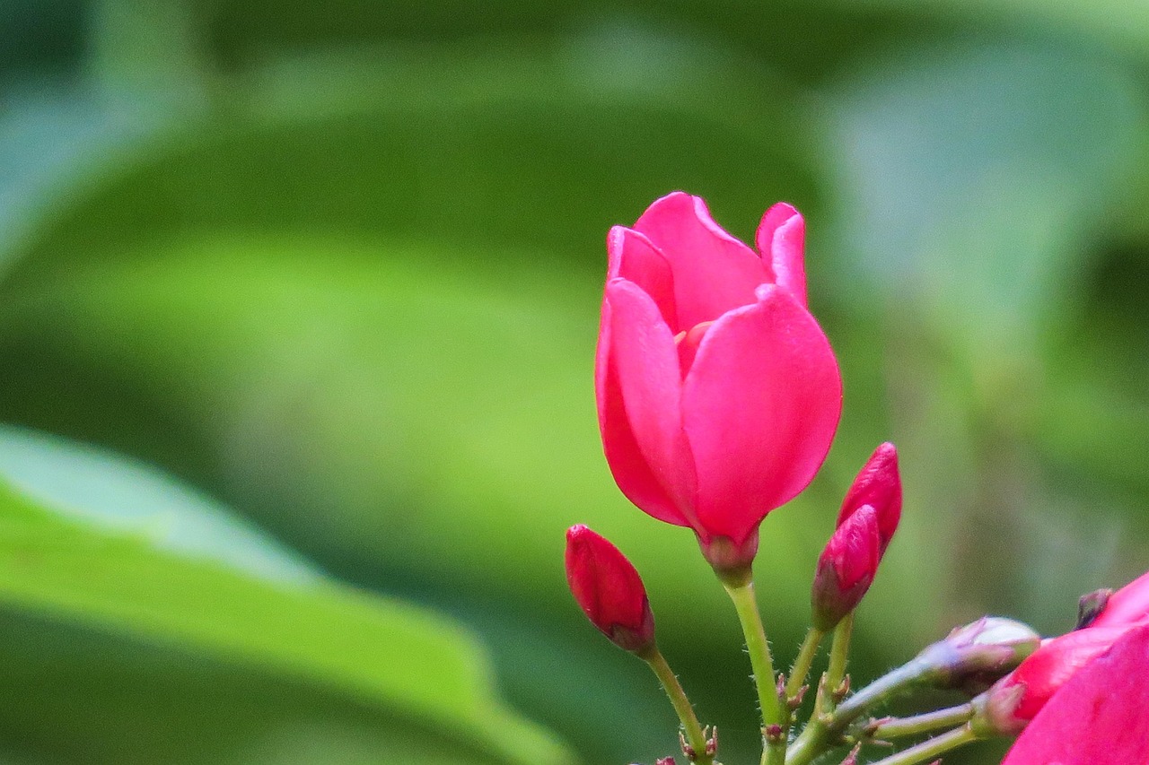 重慶茶惠大道最新動態(tài)，重塑城市交通，引領(lǐng)智慧出行新篇章