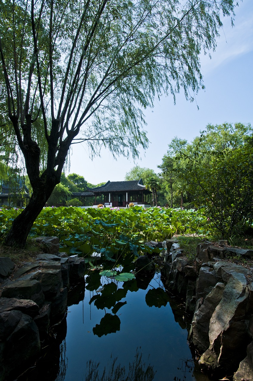 蘇州中梁天頌最新動態(tài)，揭示城市未來面貌的嶄新篇章