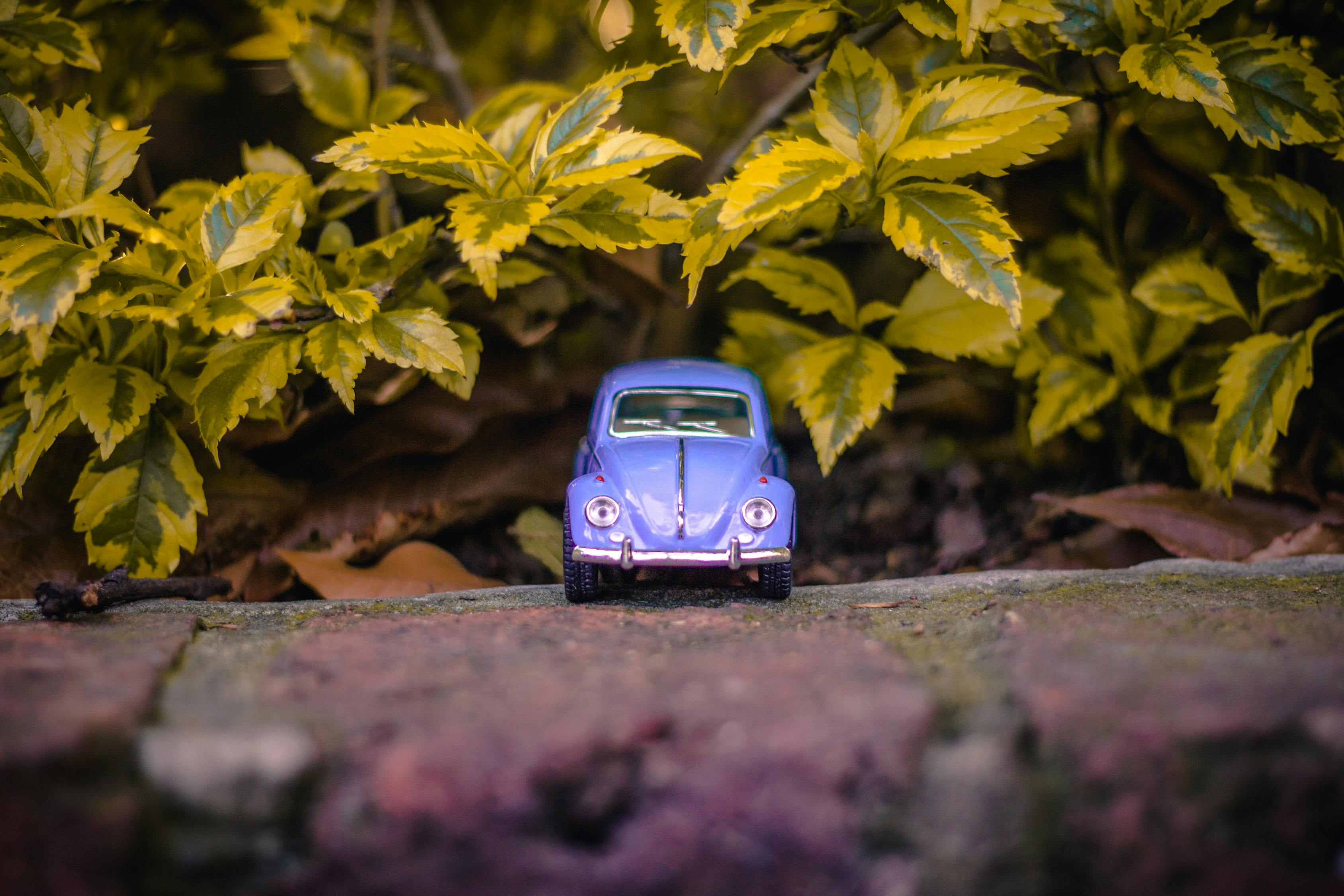 五月神州租車房車租賃價格一覽表