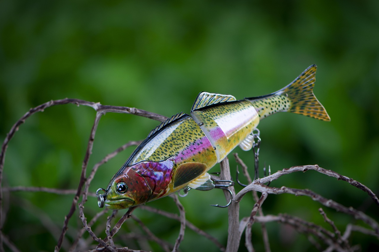 五月最新釣魚技巧分享，釣魚秘籍大揭秘