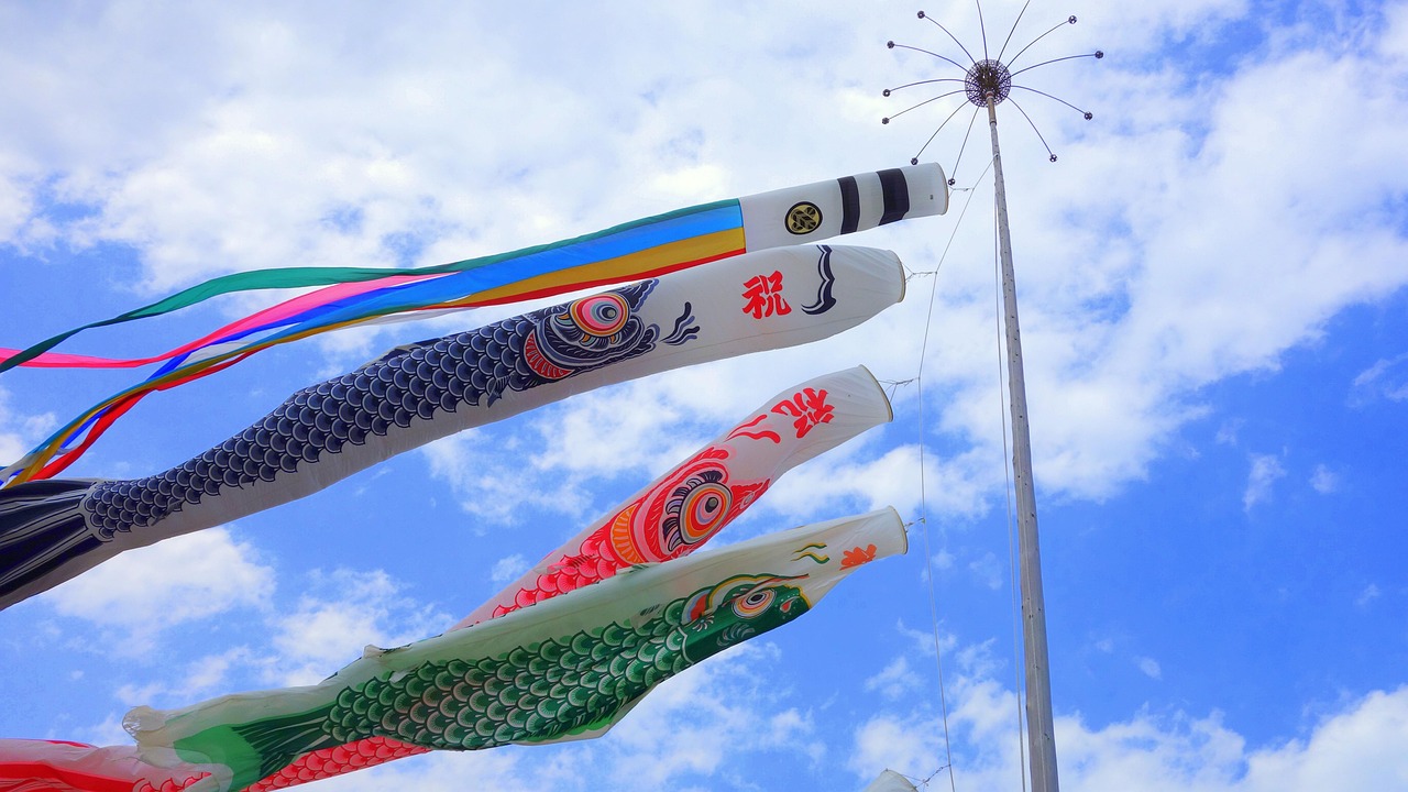 五月新篇章，探索旗魚影視新版下載的魅力