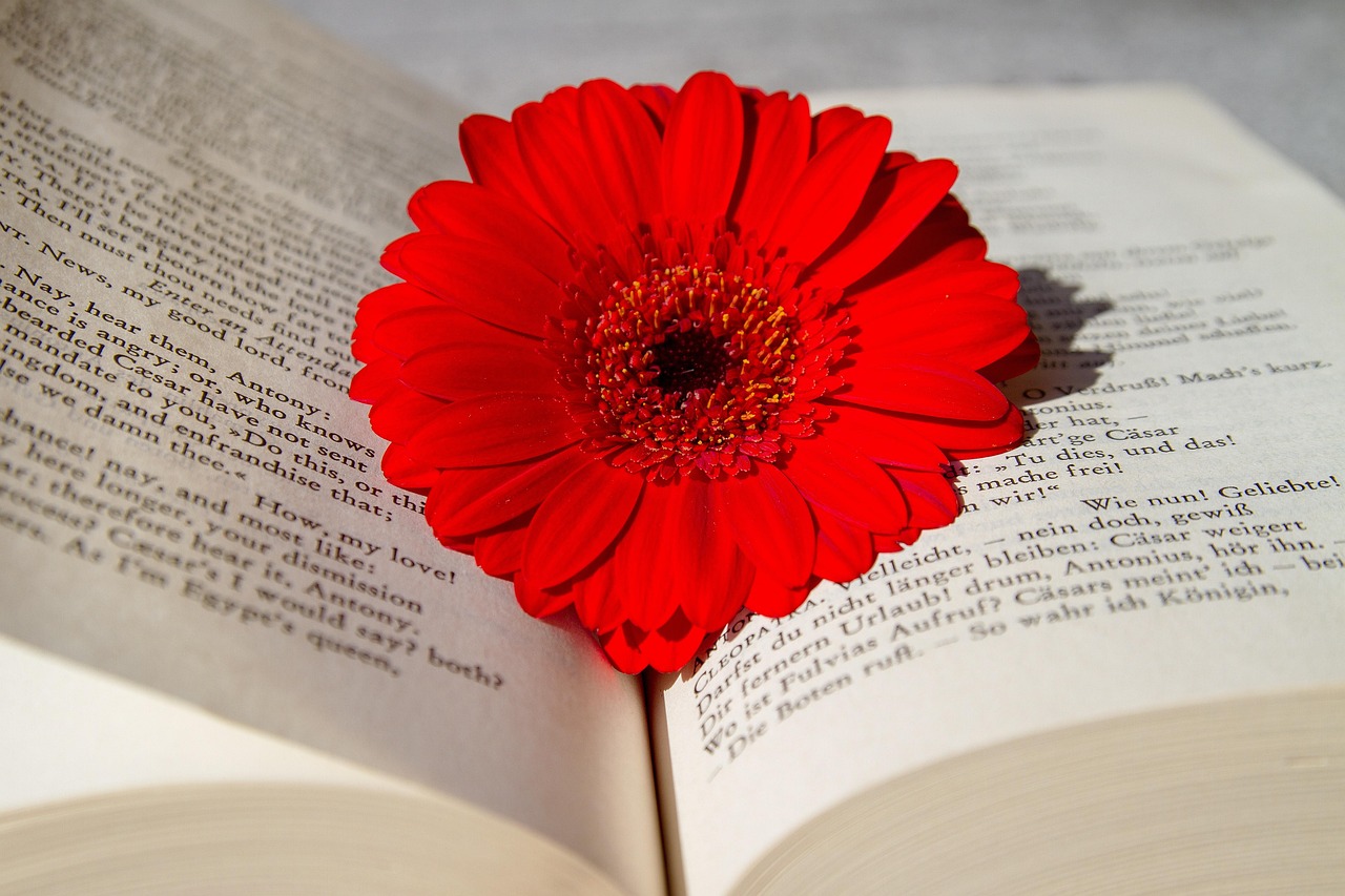 五月的花語，三行情書獻給絢爛的花朵
