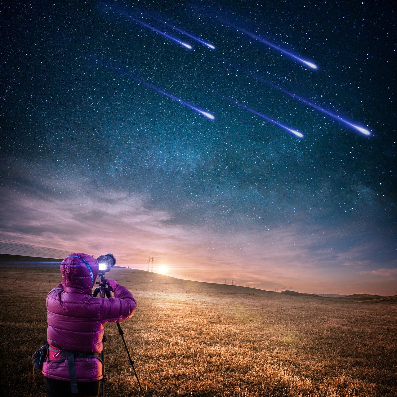 五月星光閃耀之旅，明星女主的璀璨人生